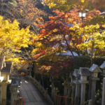奈良県　大和郡山市小泉駅前美容室SWEET ROOM　紅葉の季節ですね(^^♪